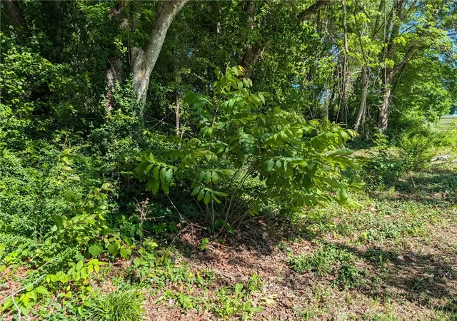 3rd image of Tbd Blue Jay, Diamond City, AR 72630 | MLS# 1347095
