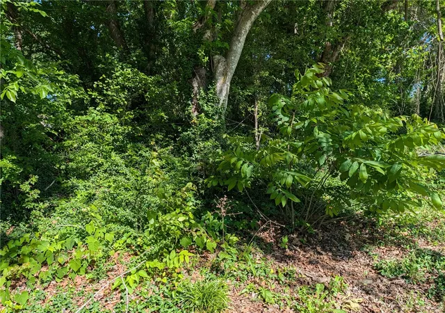 4th image of Tbd Blue Jay, Diamond City, AR 72630 | MLS# 1347095