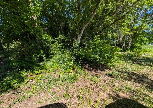 5th image of Tbd Blue Jay, Diamond City, AR 72630 | MLS# 1347095
