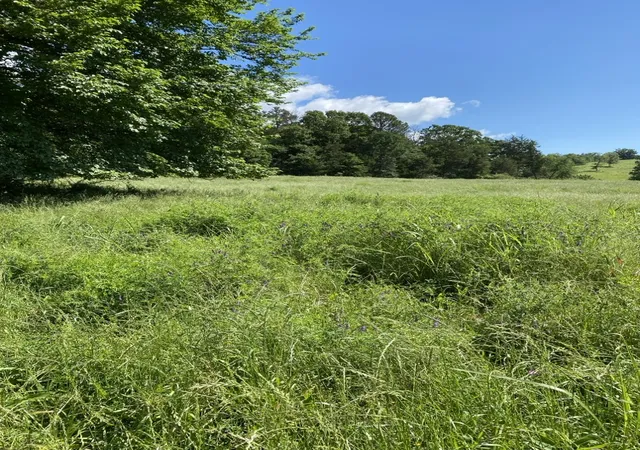 Homes for sale in Briggsville, AR | 2 Acres On Melton Rd, Briggsville, AR 72828 | MLS# 1347131