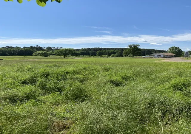 Homes for sale in Briggsville, AR | 2 Acres On Melton Rd, Briggsville, AR 72828 | MLS# 1347131