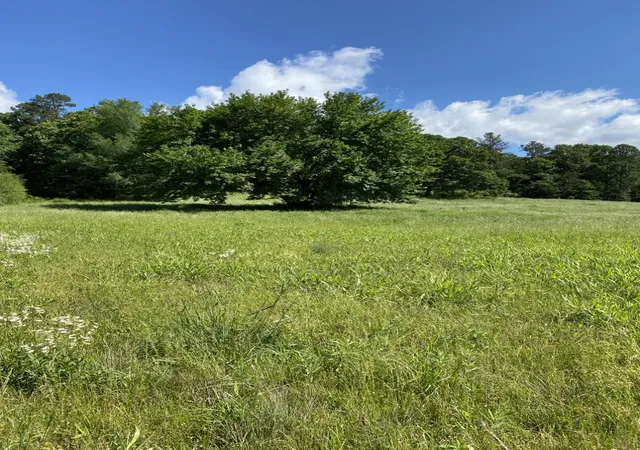 Homes for sale in Briggsville, AR | 2 Acres On Melton Rd, Briggsville, AR 72828 | MLS# 1347131