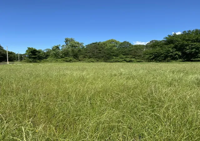 Homes for sale in Briggsville, AR | 2 Acres On Melton Rd, Briggsville, AR 72828 | MLS# 1347131