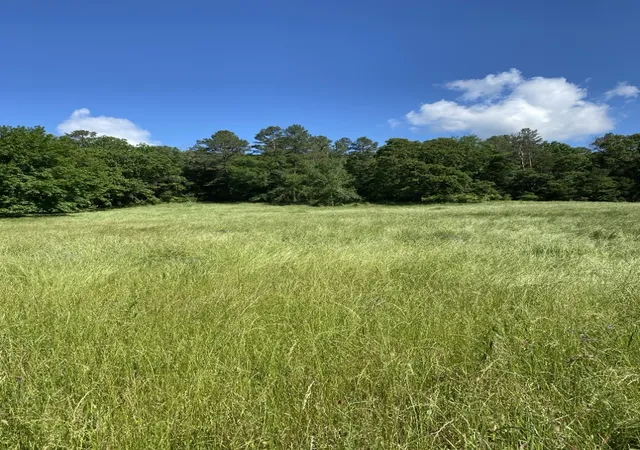 Homes for sale in Briggsville, AR | 2 Acres On Melton Rd, Briggsville, AR 72828 | MLS# 1347131