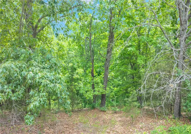 3rd image of Cardinal Ln Wc 2153 Ln, Fayetteville, AR 72704 | MLS# 1347145