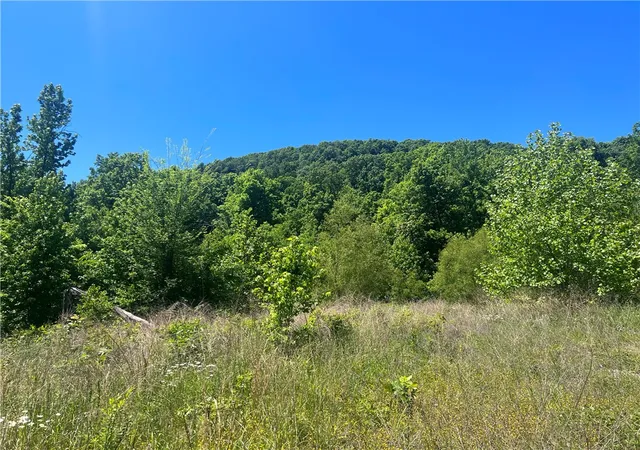 Photo 1 of Land for sale at Terrapin Rd, Harrison, AR 72601 | MLS# 1347238 | Listing updated on 2026-05-13