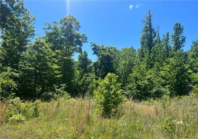 Photo 2 of Land for sale at Terrapin Rd, Harrison, AR 72601 | MLS# 1347238 | Listing updated on 2026-05-13