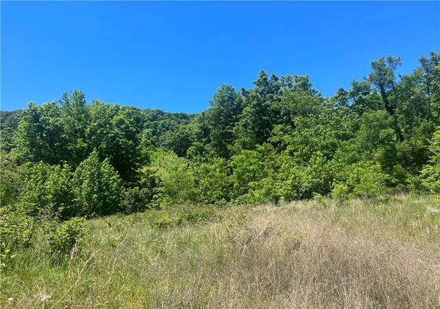 Photo 3 of Land for sale at Terrapin Rd, Harrison, AR 72601 | MLS# 1347238 | Listing updated on 2026-05-13