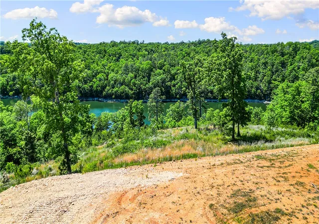3rd image of 171 Acres Knabenschuh Dr, Garfield, AR 72732 | MLS# 1347199