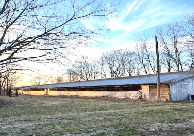 4th image of 10593 Viney Grove Rd, Prairie Grove, AR 72753 | MLS# 1347452