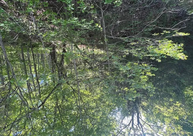 10th image of 97 Thunderbird Dr, Holiday Island, AR 72631 | MLS# 1347515