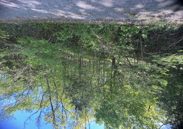 1st image of 97 Thunderbird Dr, Holiday Island, AR 72631 | MLS# 1347515