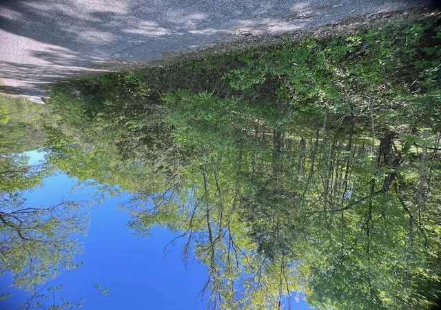 2nd image of 97 Thunderbird Dr, Holiday Island, AR 72631 | MLS# 1347515