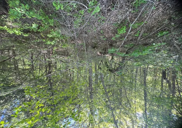 Photo 3 of Land for sale at 97 Thunderbird Dr, Holiday Island, AR 72631 | MLS# 1347515 | Listing updated on 2026-05-14
