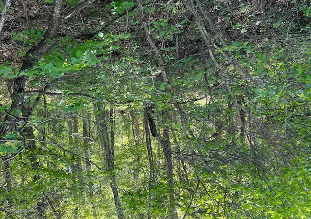 Photo 4 of Land for sale at 97 Thunderbird Dr, Holiday Island, AR 72631 | MLS# 1347515 | Listing updated on 2026-05-14