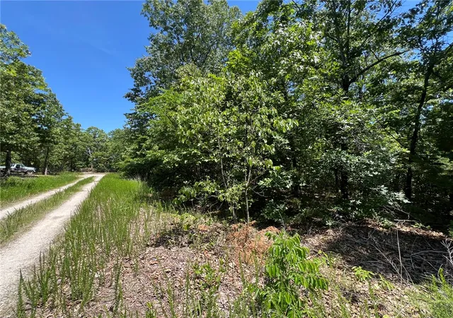 Photo 3 of Land for sale at Tbd Saddle View Dr, Yellville, AR 72687 | MLS# 1347640 | Listing updated on 2026-05-16