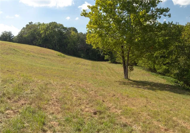 3rd image of 000 Downwind Dr, Omaha, AR 72662 | MLS# 1347648