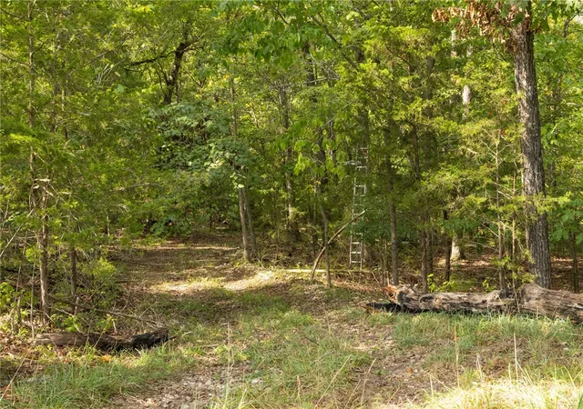 4th image of 000 Downwind Dr, Omaha, AR 72662 | MLS# 1347648