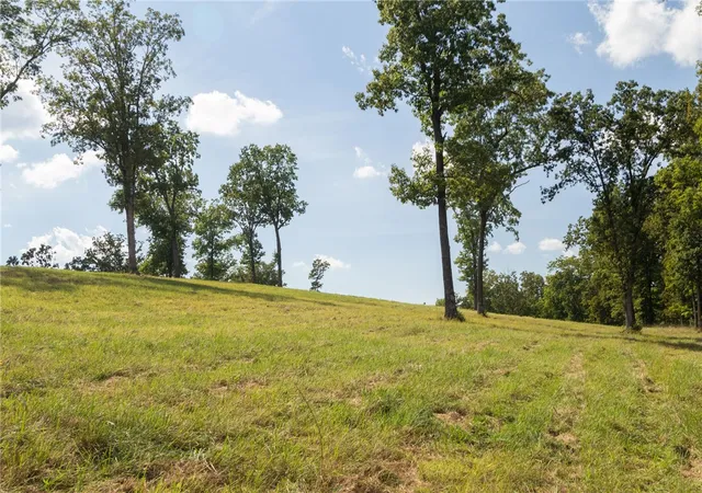 5th image of 000 Downwind Dr, Omaha, AR 72662 | MLS# 1347648