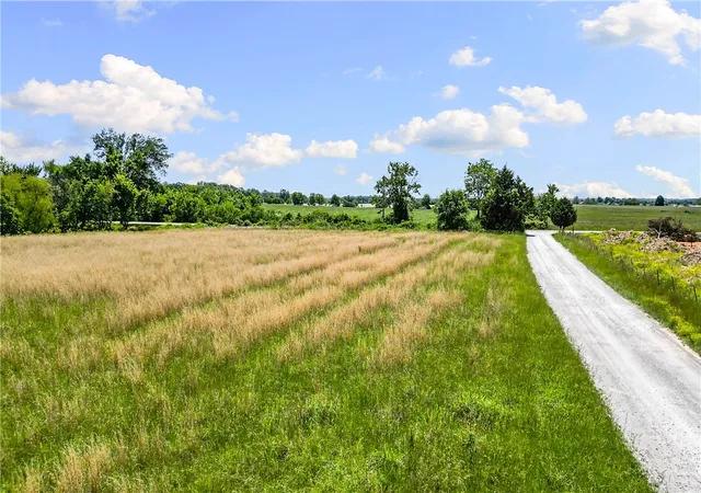 10th image of 5 Acres E Ar Hwy 72, Pea Ridge, AR 72751 | MLS# 1347638