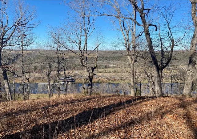 Homes for sale in Flippin, AR | Mc 7001 Rd, Flippin, AR 72634 | MLS# 1347677