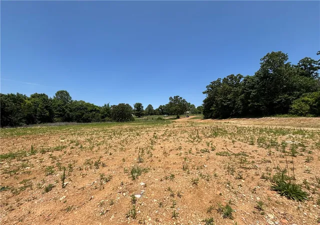 Homes for sale in Mountain Home, AR | 001-07835-001 Hwy 5 N, Mountain Home, AR 72653 | MLS# 1347680