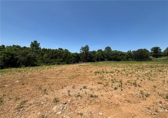 Homes for sale in Mountain Home, AR | 001-07835-001 Hwy 5 N, Mountain Home, AR 72653 | MLS# 1347680