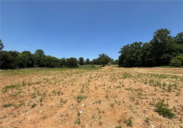 Homes for sale in Mountain Home, AR | 001-07835-001 Hwy 5 N, Mountain Home, AR 72653 | MLS# 1347680