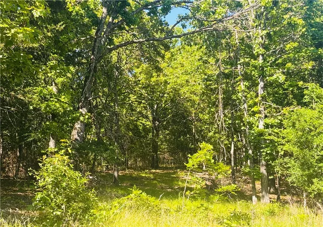 1st image of 001 05820 000 Mc 8117, Yellville, AR 72687 | MLS# 1347813