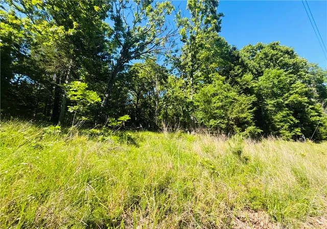 2nd image of 001 05820 000 Mc 8117, Yellville, AR 72687 | MLS# 1347813