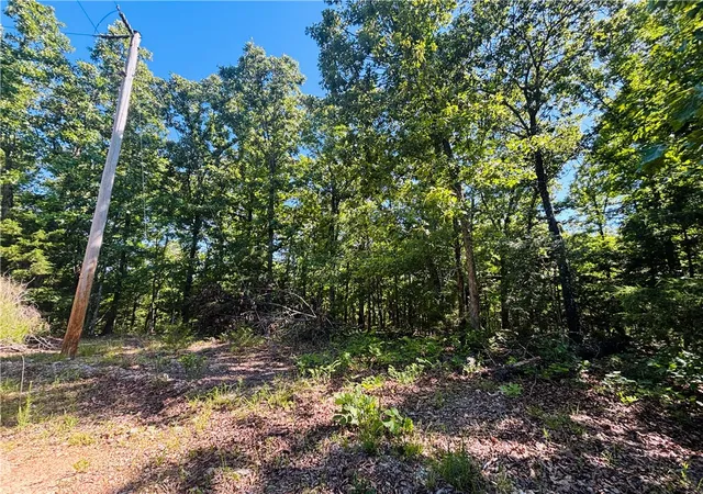 5th image of 001-05820-000 Mc 8117, Yellville, AR 72687 | MLS# 1347813