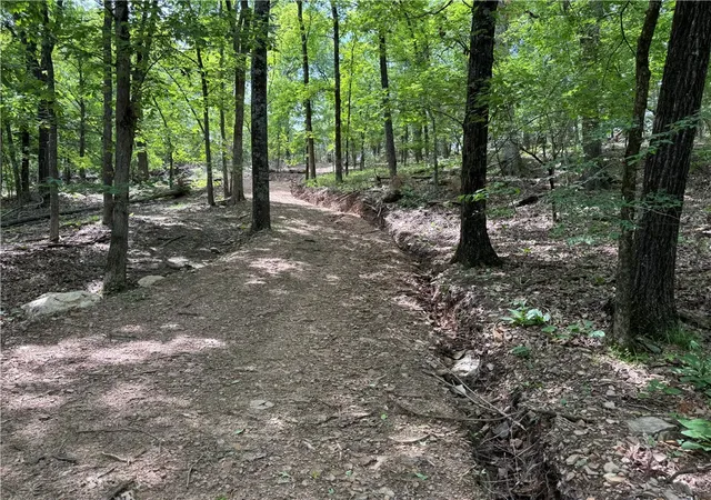 Homes for sale in Elkins, AR | Tract 1A Downing Rd, Elkins, AR 72727 | MLS# 1347845