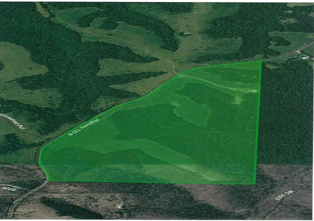 Homes for sale in Yellville, AR | 4815 N Hwy 125, Yellville, AR 72687 | MLS# 1347966