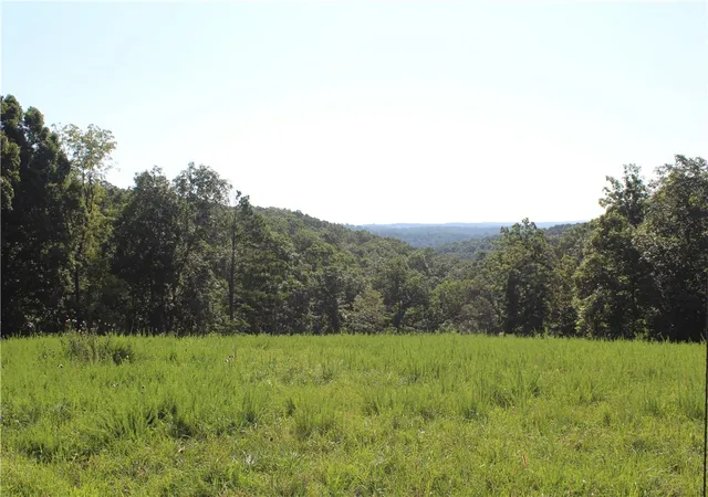 Homes for sale in Yellville, AR | 4815 N Hwy 125, Yellville, AR 72687 | MLS# 1347966