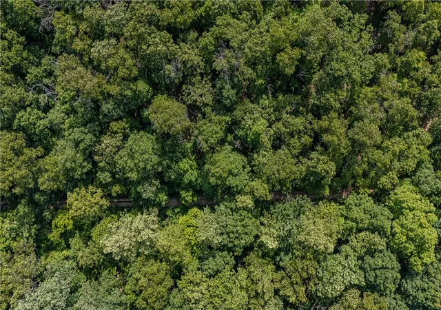 4th image of 26 Rochester Dr, Bella Vista, AR 72714 | MLS# 1348007