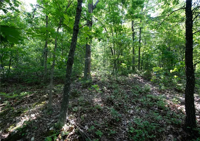 5th image of 26 Rochester Dr, Bella Vista, AR 72714 | MLS# 1348007