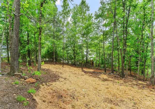 4th image of 225 Hill St, Winslow, AR 72759 | MLS# 1348101