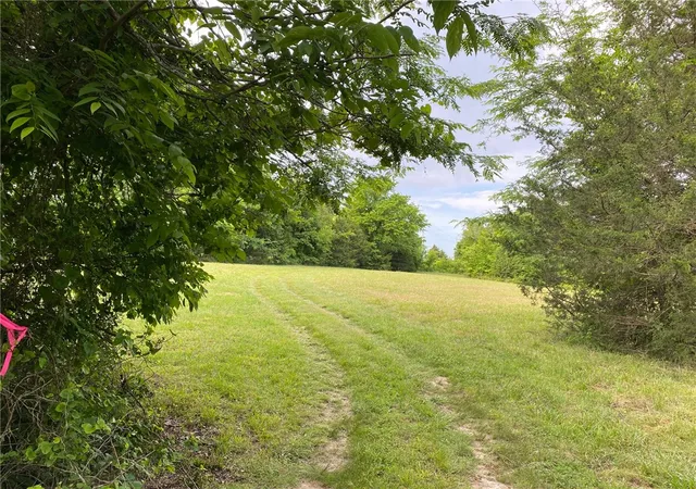 3rd image of Mc 6064, Flippin, AR 72634 | MLS# 1348111