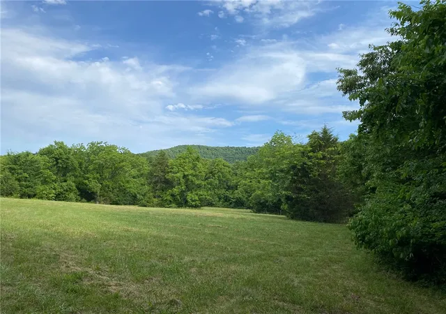 4th image of Mc 6064, Flippin, AR 72634 | MLS# 1348111
