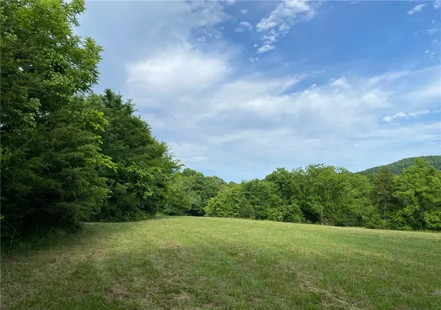5th image of Mc 6064, Flippin, AR 72634 | MLS# 1348111