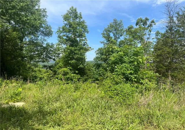 Homes for sale in Dover, AR | 107 Jones Dr, Dover, AR 72837 | MLS# 1348180