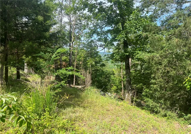 Photo 3 of Land for sale at 107 Jones Dr, Dover, AR 72837 | MLS# 1348180 | Listing updated on 2026-06-02