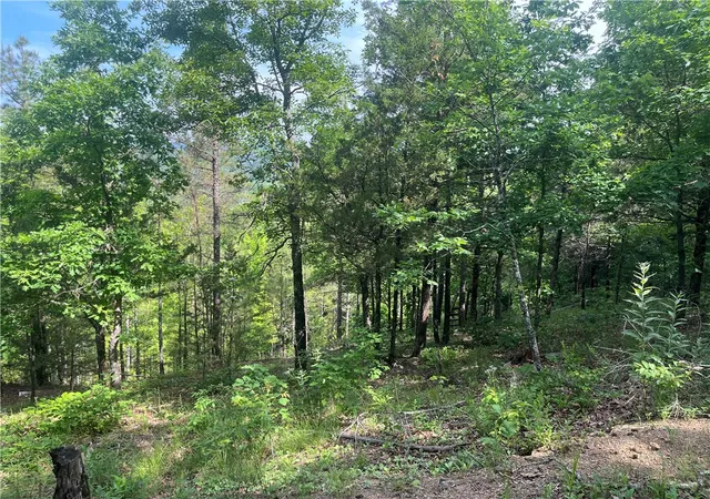 Photo 3 of House for sale at 107 Jones Dr, Dover, AR 72837 | MLS# 1348180 | Listing updated on 2026-06-02