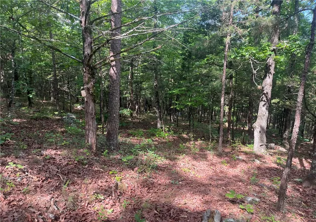 Photo 4 of House for sale at 107 Jones Dr, Dover, AR 72837 | MLS# 1348180 | Listing updated on 2026-06-02