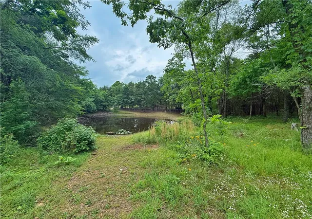 26th image of 145 S Red Oak, Delaware, AR 72835 | MLS# 1348185