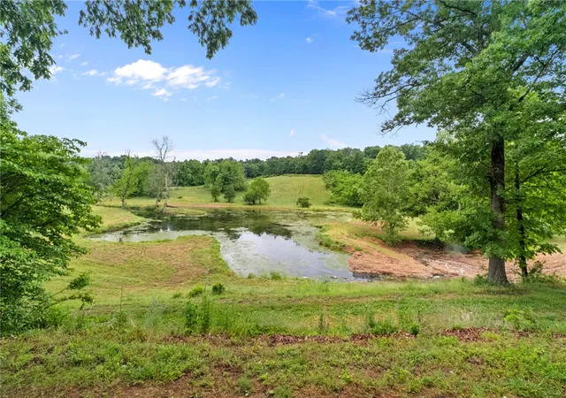 Homes for sale in Decatur, AR | 8008 Blackberry Wy, Decatur, AR 72722 | MLS# 1348163