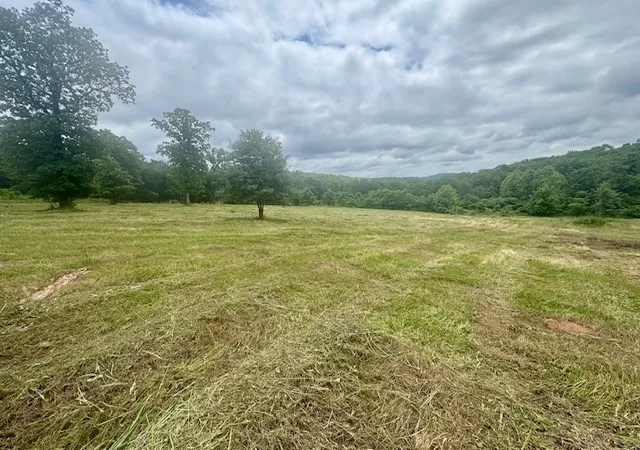 Homes for sale in Natural Dam, AR | Tbd Peaceful Home Ln, Natural Dam, AR 72948 | MLS# 1348324