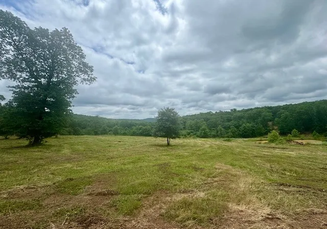 Homes for sale in Natural Dam, AR | Tbd Peaceful Home Ln, Natural Dam, AR 72948 | MLS# 1348324