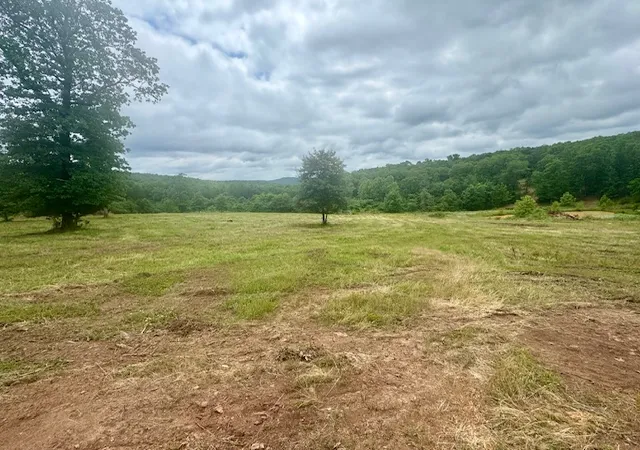 Homes for sale in Natural Dam, AR | Tbd Peaceful Home Ln, Natural Dam, AR 72948 | MLS# 1348324