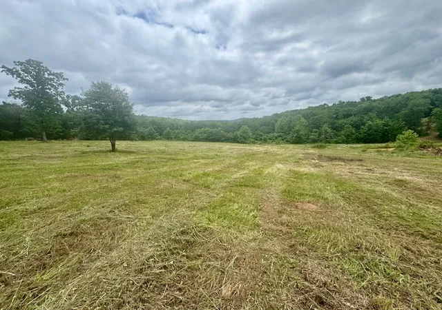 Homes for sale in Natural Dam, AR | Tbd Peaceful Home Ln, Natural Dam, AR 72948 | MLS# 1348324
